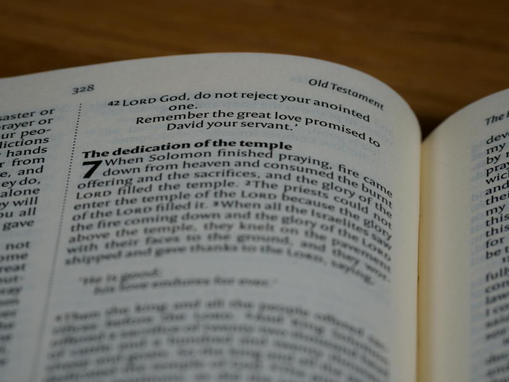 Bible Tour Book Background – 1 & 2&nbsp;Chronicles