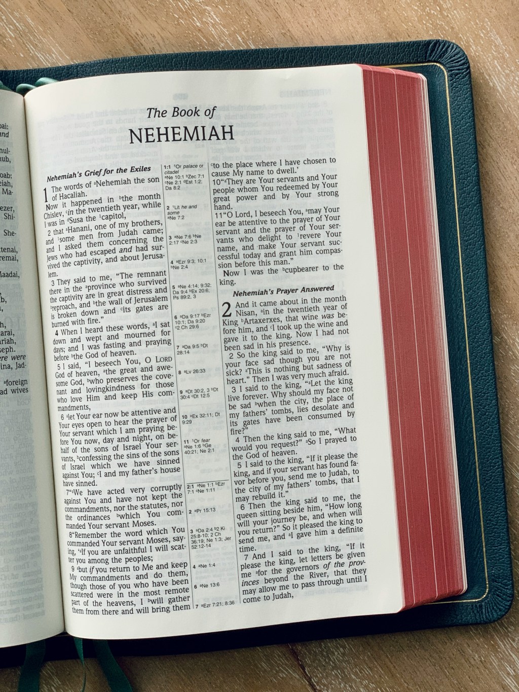 Bible Tour Book Background –&nbsp;Nehemiah