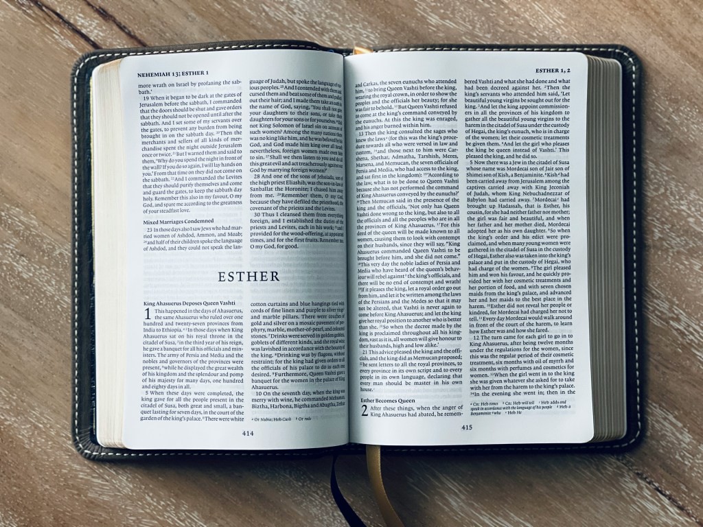 Bible Tour Book Background –&nbsp;Esther