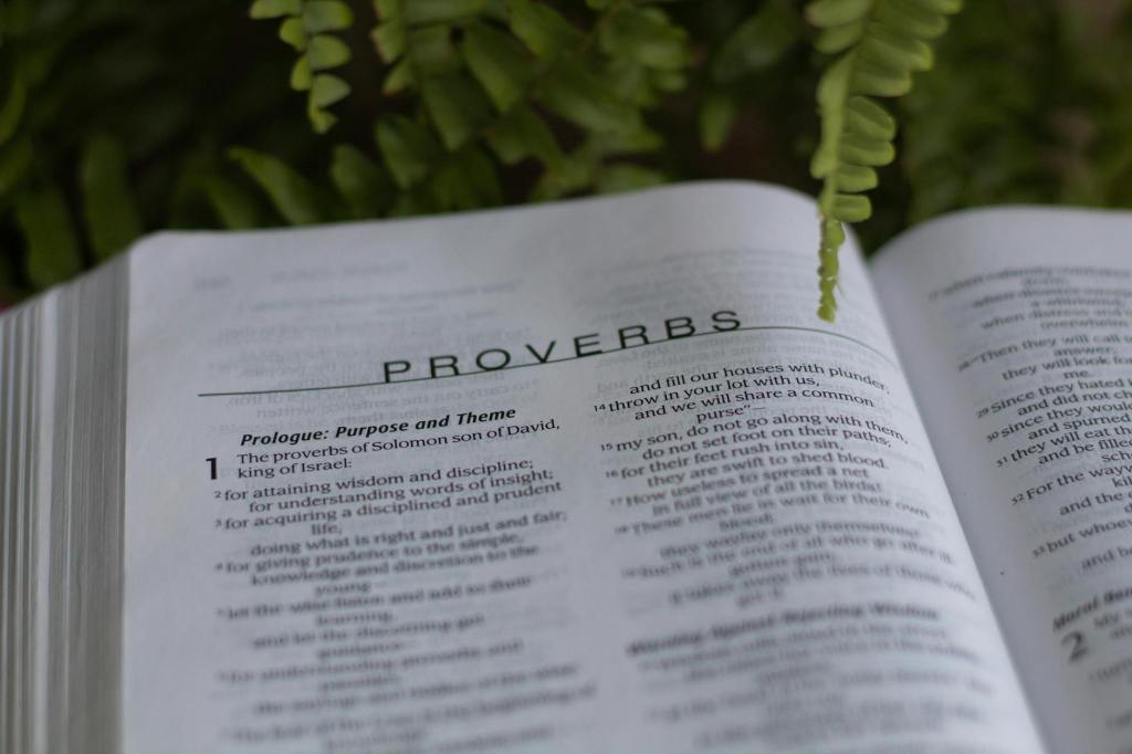 Bible Tour Book Background:&nbsp;Proverbs