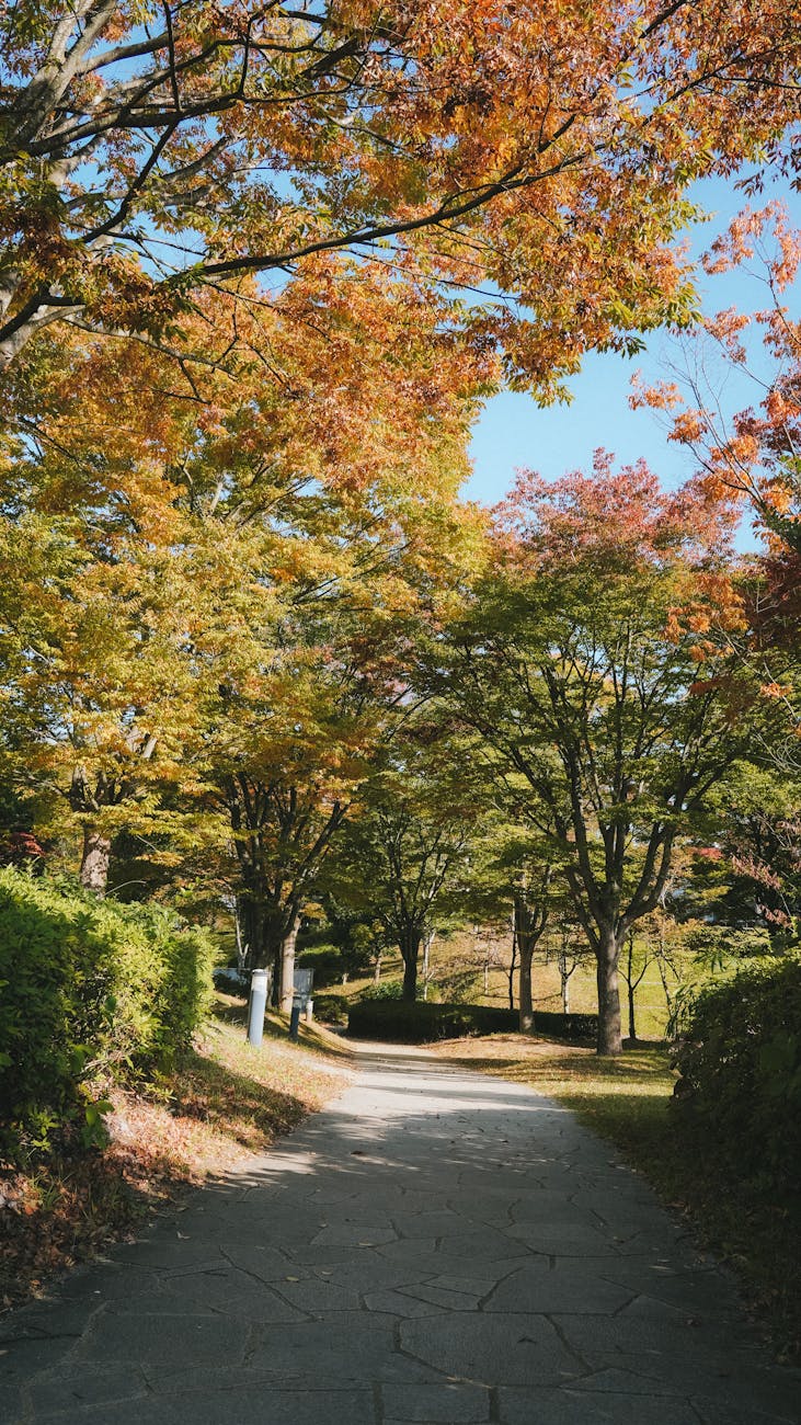 Steady Progress in&nbsp;September